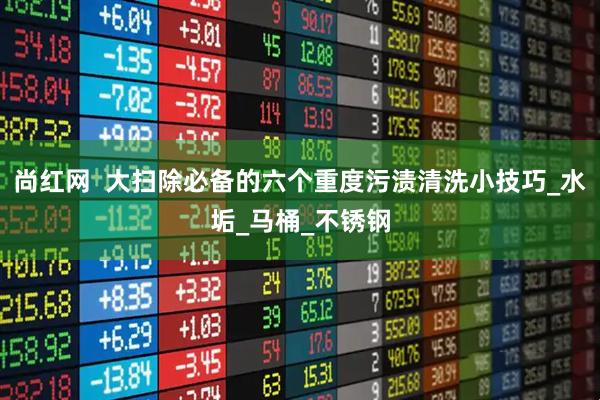 尚红网  大扫除必备的六个重度污渍清洗小技巧_水垢_马桶_不锈钢