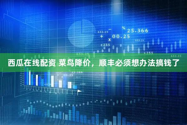 西瓜在线配资 菜鸟降价，顺丰必须想办法搞钱了
